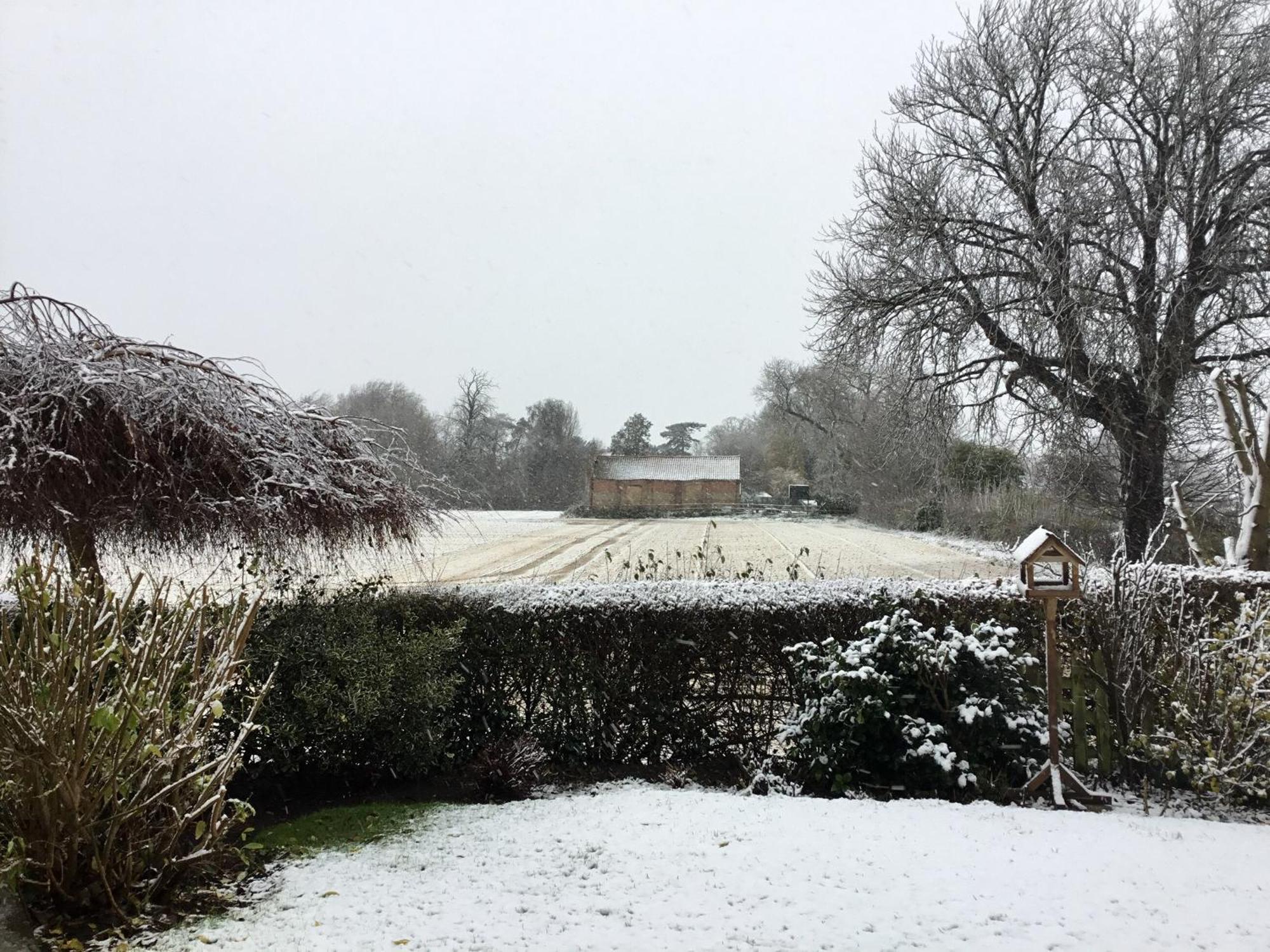 Greenbank Cottage Hilgay Екстериор снимка
